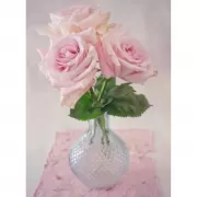 Набор шашек