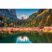 Набор шашек