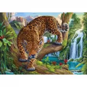 Набор шашек