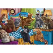 Набор шашек