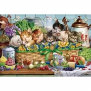 Набор шашек