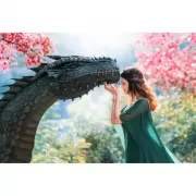 Набор шашек