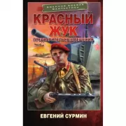 Красный Жук. Предварительные решения
