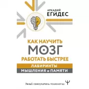 Как научить мозг работать быстрее. Лабиринты мышления и памяти