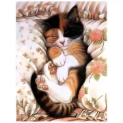 Набор шашек