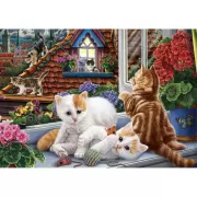 Набор шашек