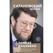 Зимние дацзыбао