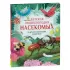 Детская энциклопедия насекомых