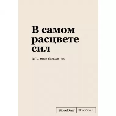 Блокнот SlovoDna. В самом расцвете сил