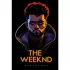 The Weeknd. Фанатская книга