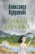 Божья коровка. Амурские повести