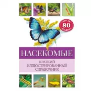Насекомые