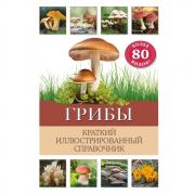 Грибы