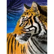 Красота волков