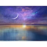 Красота волков