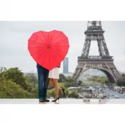 Красота волков