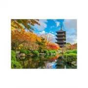 Набор шашек