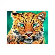 Набор шашек