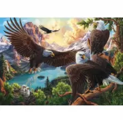 Набор шашек