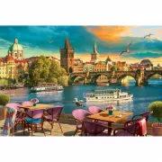 Набор шашек