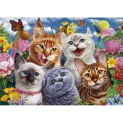 Набор шашек