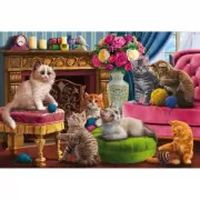 Набор шашек