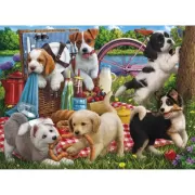 Набор шашек