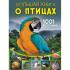 Большая книга о птицах. 1001 фотография