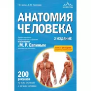 Анатомия человека