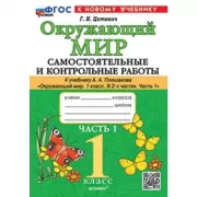 Окружающий мир. Самостоятельные и контрольные работы. 1 класс. Часть 1