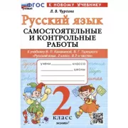 Русский язык. Самостоятельные и контрольные работы. 2 класс