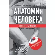 Анатомия человека. Русско-латинский атлас с QR-кодами