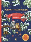 Адвент-календарь. Новогодняя ботаника. Прогулка по зимнему лесу
