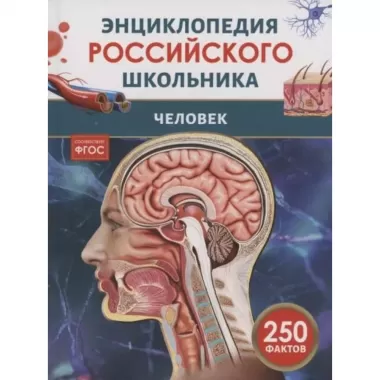 Человек