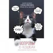 Вопросы о кошках. Самое интересное о пушистых любимцах