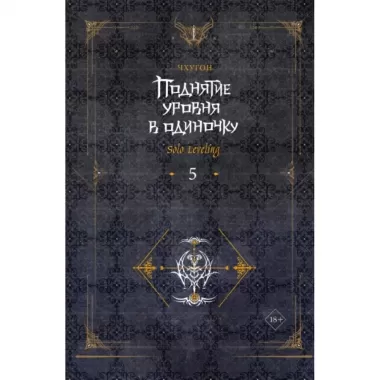Поднятие уровня в одиночку. Книга 5