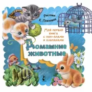 Домашние животные