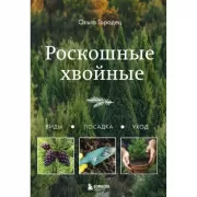 Роскошные хвойные. Виды, посадка, уход