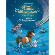 Чудеса на Северном полюсе
