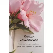 Блокнот благодарности. Красота в каждом мгновении, просто надо научиться ее замечать