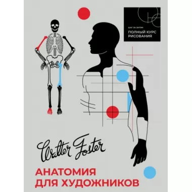 Анатомия для художников