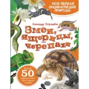 Змеи, ящерицы, черепахи