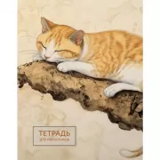 Тетрадь для иероглифов