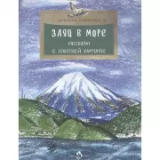 Заяц в море. Рассказы о Северной Камчатке