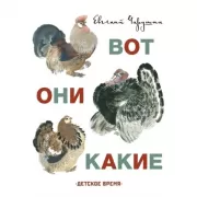 Вот они какие