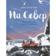 На Север. Путешествие вслед за чайкой