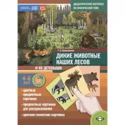 Дикие животные наших лесов и их детеныши. 4-6 лет