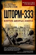 Шторм-333. Взятие дворца Амина