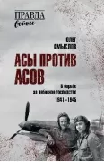 Асы против асов. В борьбе за небесное господство
