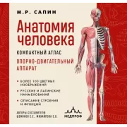 Анатомия человека. Опорно-двигательный аппарат